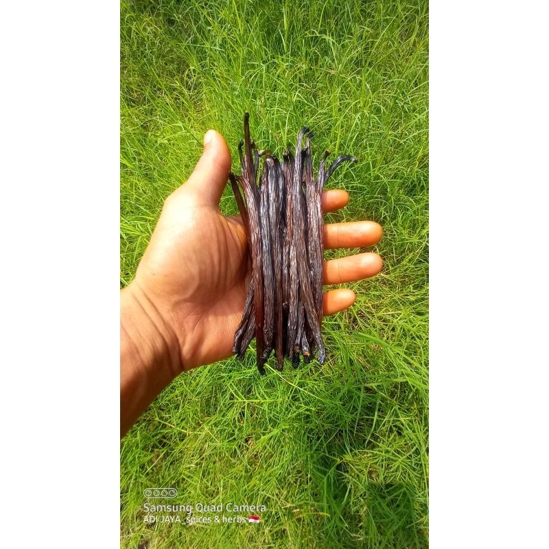 

VANILLA BEANS PLANIFOLIA 100 gram GRADE B