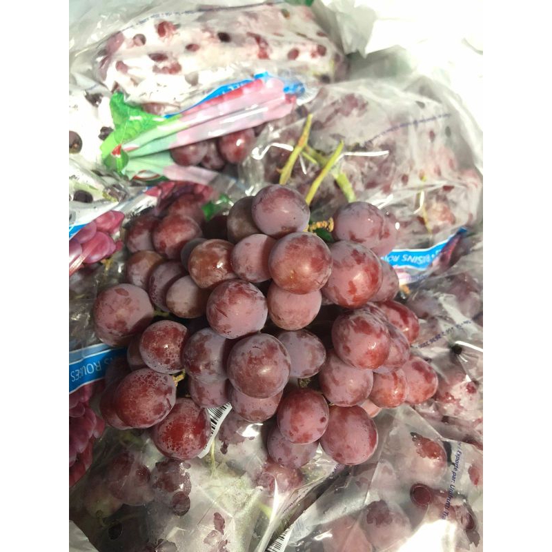 

Anggur Red Globe Chile unifruit / kg