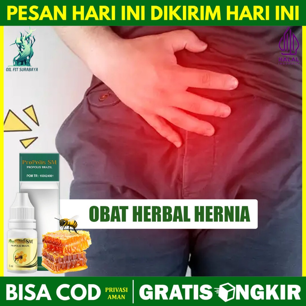 Obat Hernia Turun Berok Varikokel Hidrokel Buah Zakar Bengkak Sebelah Kanan Kiri Terlaris Bisa COD