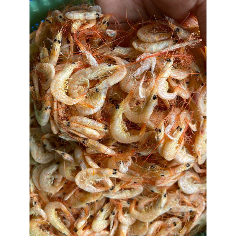 

Udang manis asli tanpa pengawet