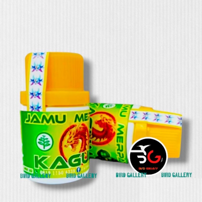 JAMU MERPATI KAGUMI KUNING JAMU MERPATI BALAP PLAYER