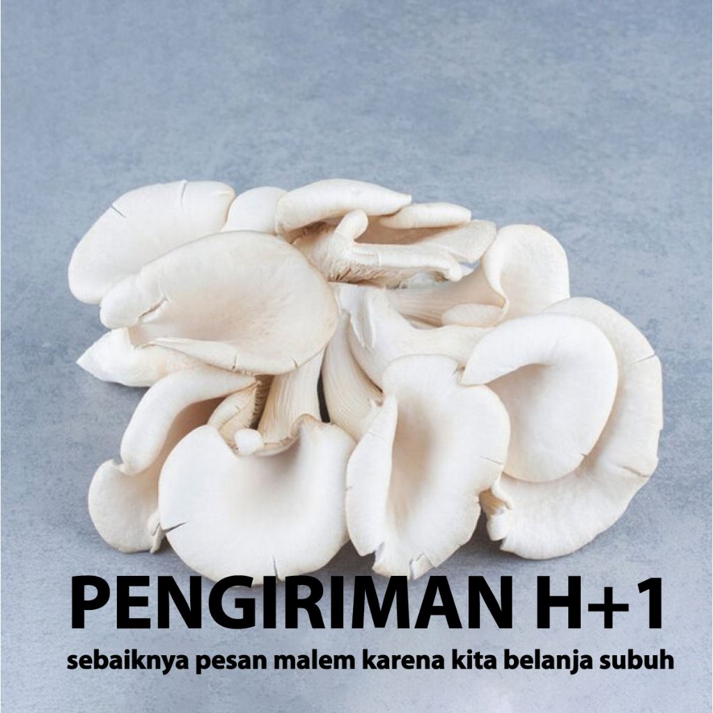 

Jamur Tiram segar Fresh sayuran segar mushroom