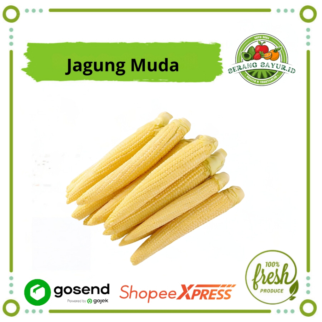 

[INSTAN SERANG] JAGUNG MUDA - PUTREN 250 GR