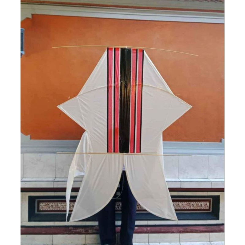 Layangan Bebean Bongkar Pasang ( KENOCKDOWN)