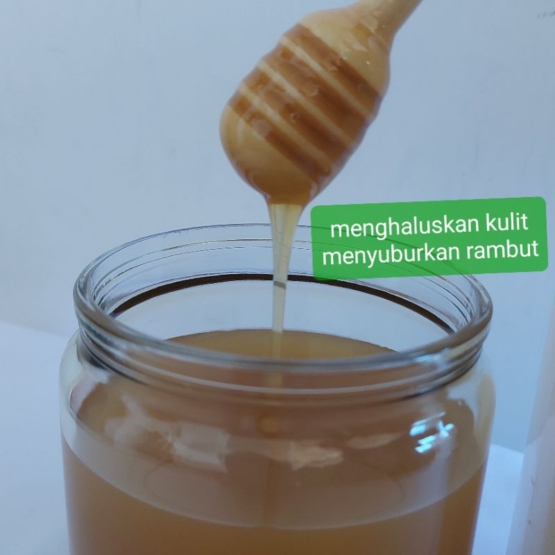 

Korzaln Asoha Madu Murni Kaliandra 500Gr Grade A 100% No Tipu-Tipu Raw Honey Alami Harga Obati Asam