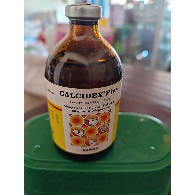 CALCIDEX PLUS