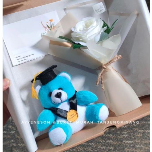 Hampers Boneka Wisuda Biru dan Buket Bunga Putih/Hampers Boneka Wisuda Coklat dan Buket Bunga Merah/