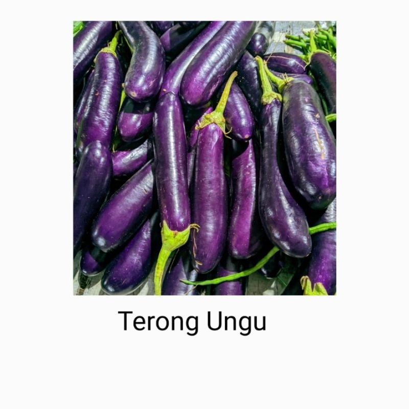 

terong ungu, 1 biji