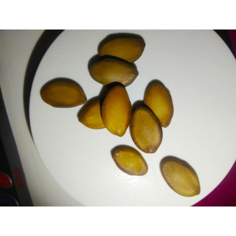 Biji Schizolobium Parahyba/Solobium/Pakis Brazil