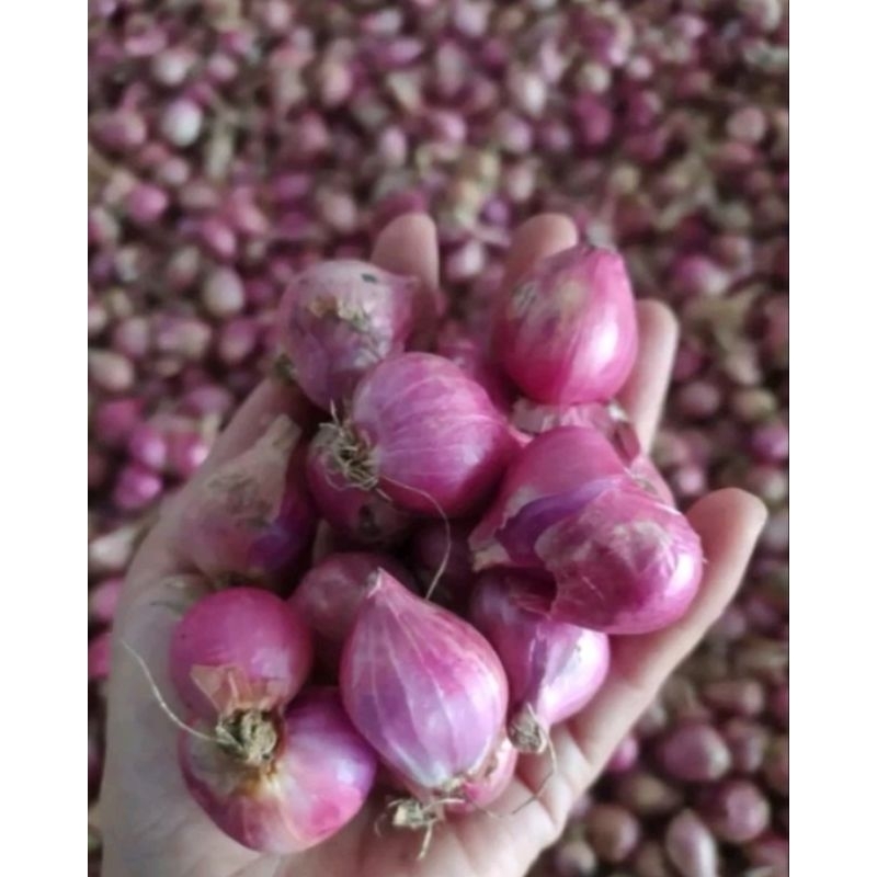 

bawang merah made in nganjuk