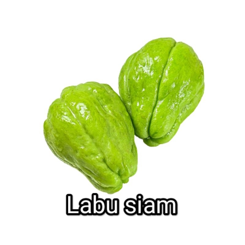 

labu siam, 1 biji