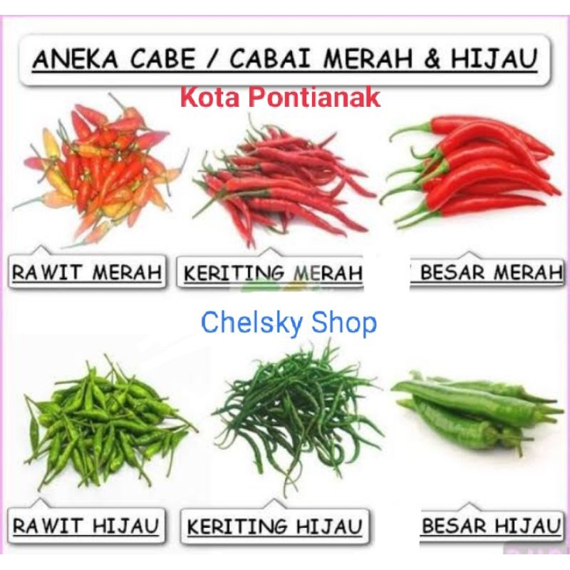 

Aneka cabe 100g Pasar Pagi Flamboyan Pontianak