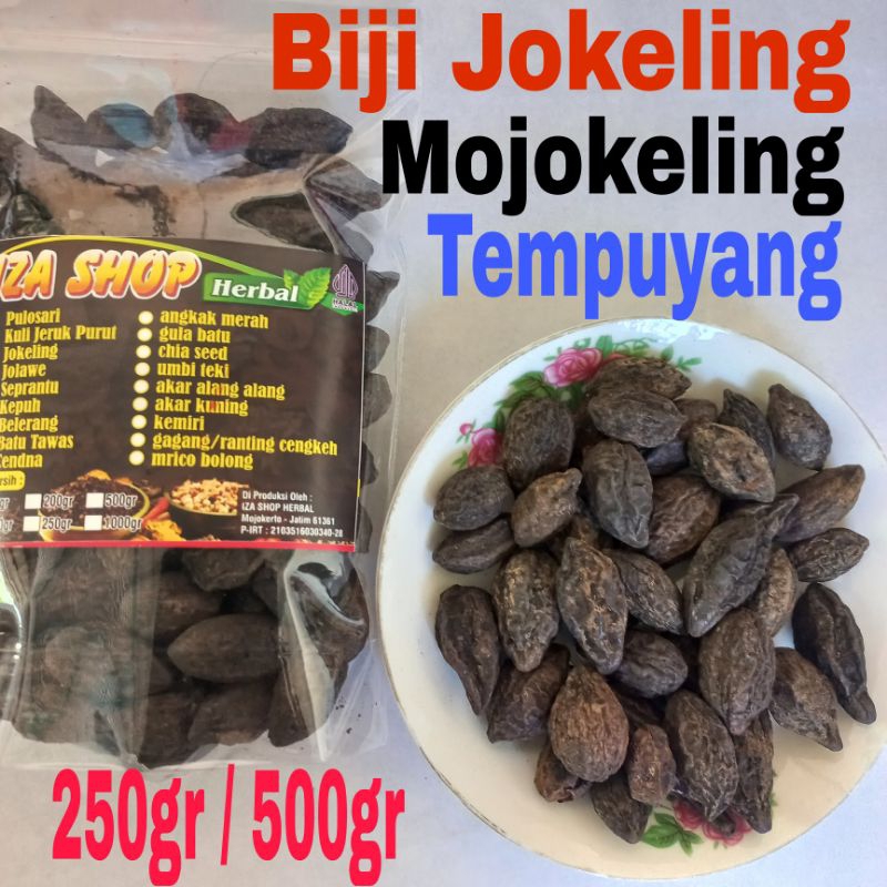 Biji Jokeling/Mojokeling/Tempuyang 500gr