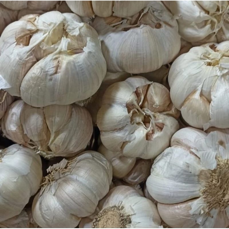 

bawang putih honan fresh 1kg