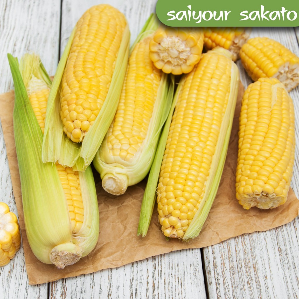 

Jagung Manis Per Pcs - Saiyour Sakato