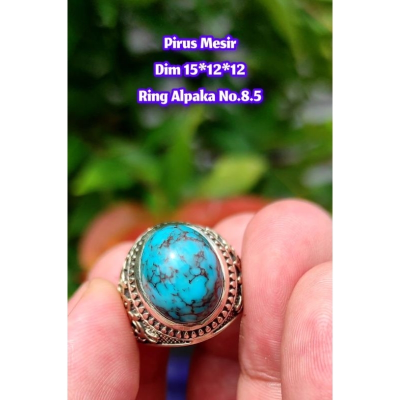 Pirus Mesir