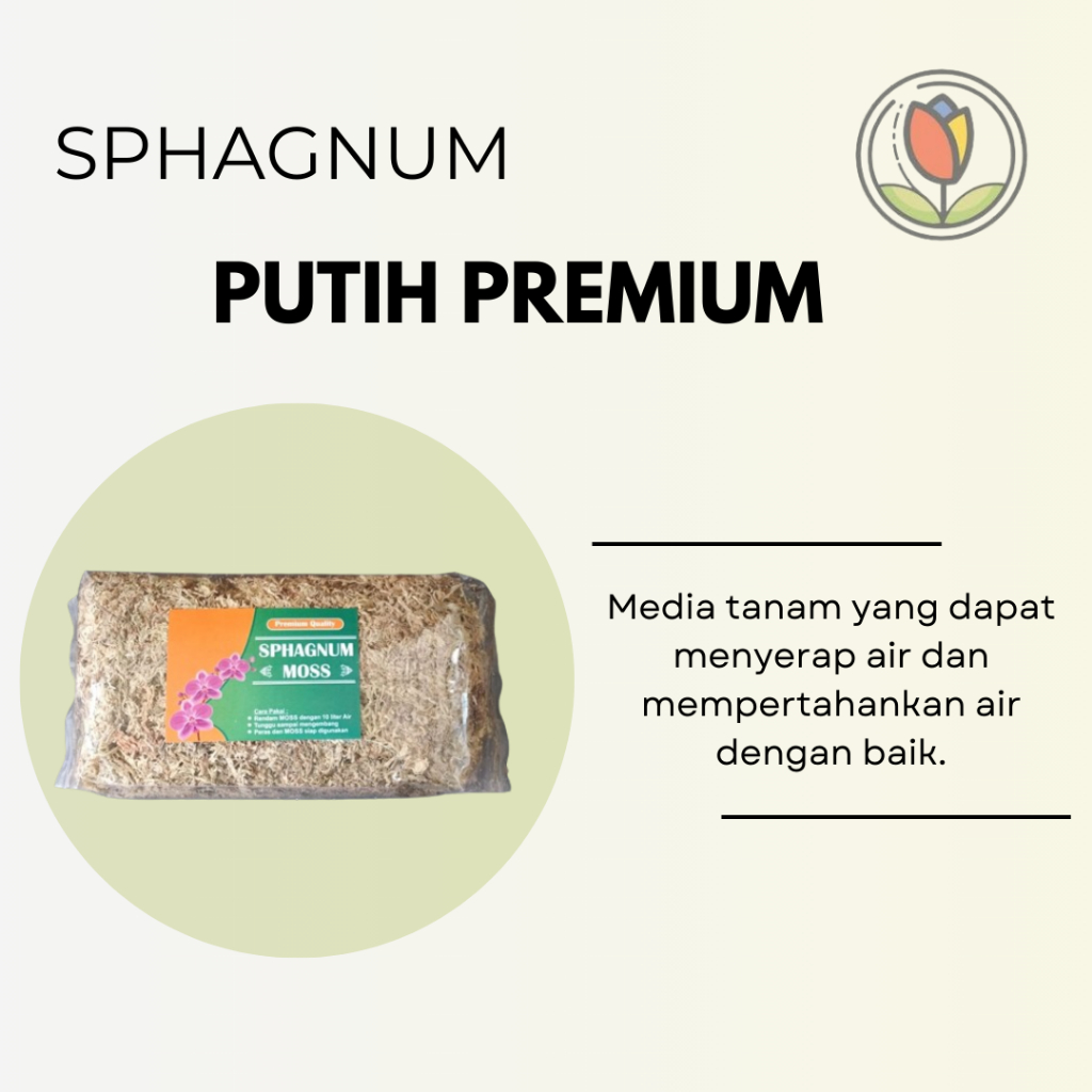 Media Tanam Anggrek | Sphagnum Moss Putih Premium