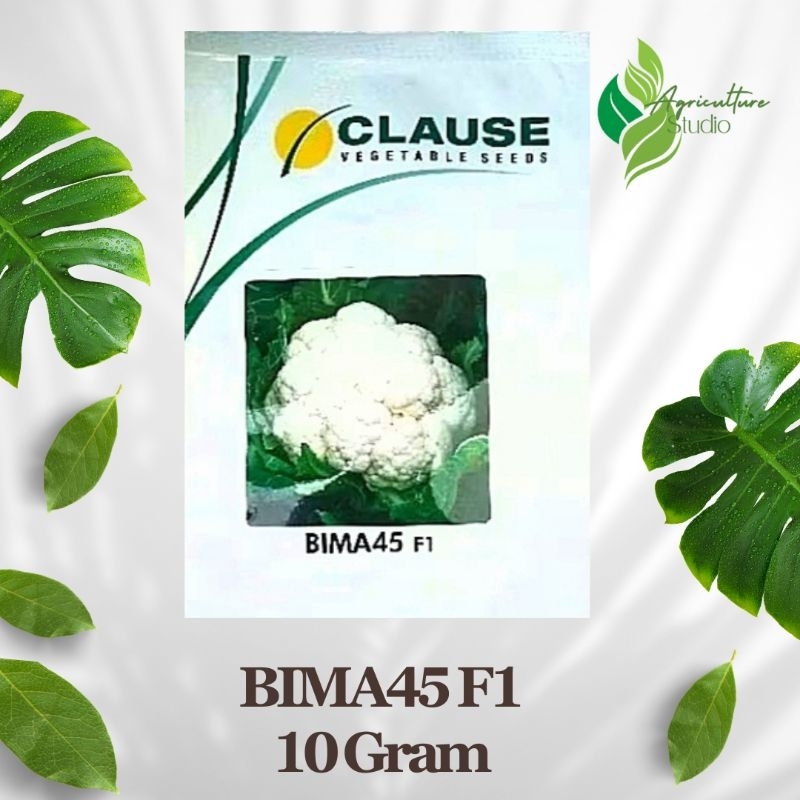 Benih Kembang Kol Bima 45 F1 10gram