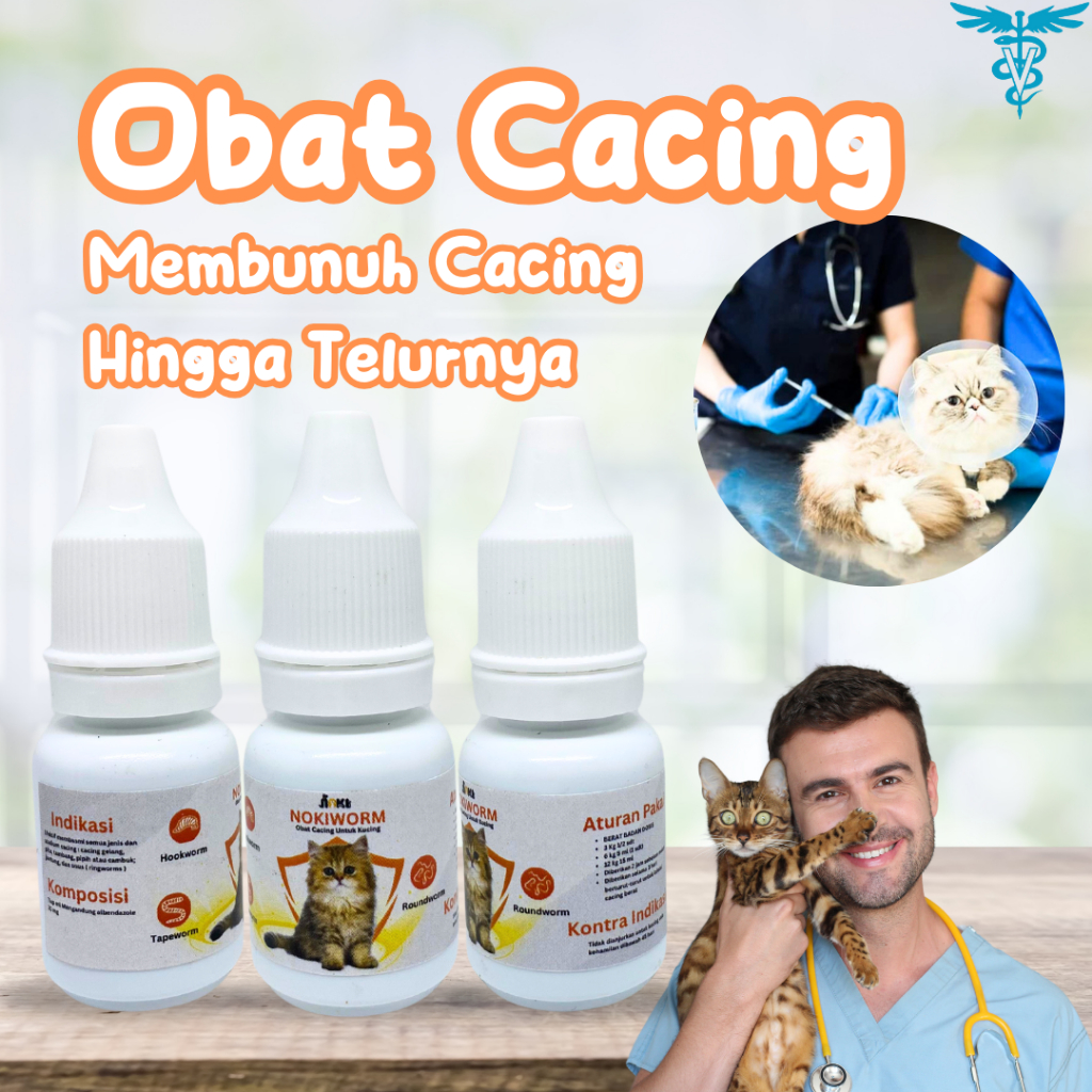 OBAT CACING KUCING AMPUH MEMBASMI CACING