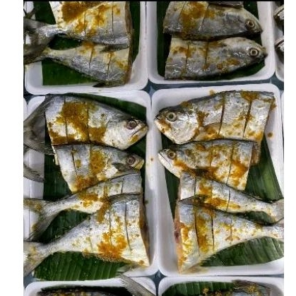 

IKAN TALANG MARINASI BUMBU KUNING 300 GRAM