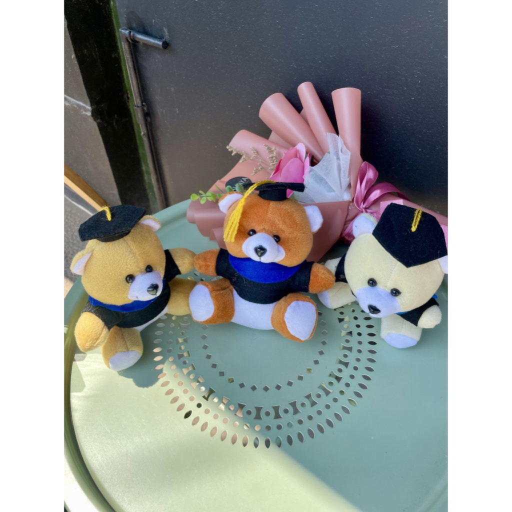 Boneka Teddy Bear Beruang Wisuda Sedang