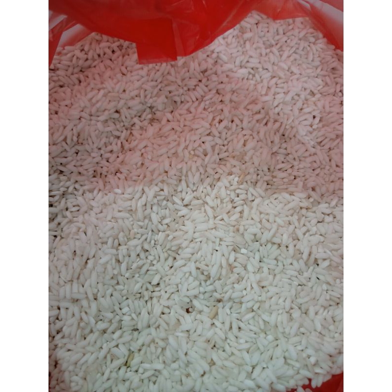 

KETAN PUTIH KONDISI PUTIH BERSIH 1KG