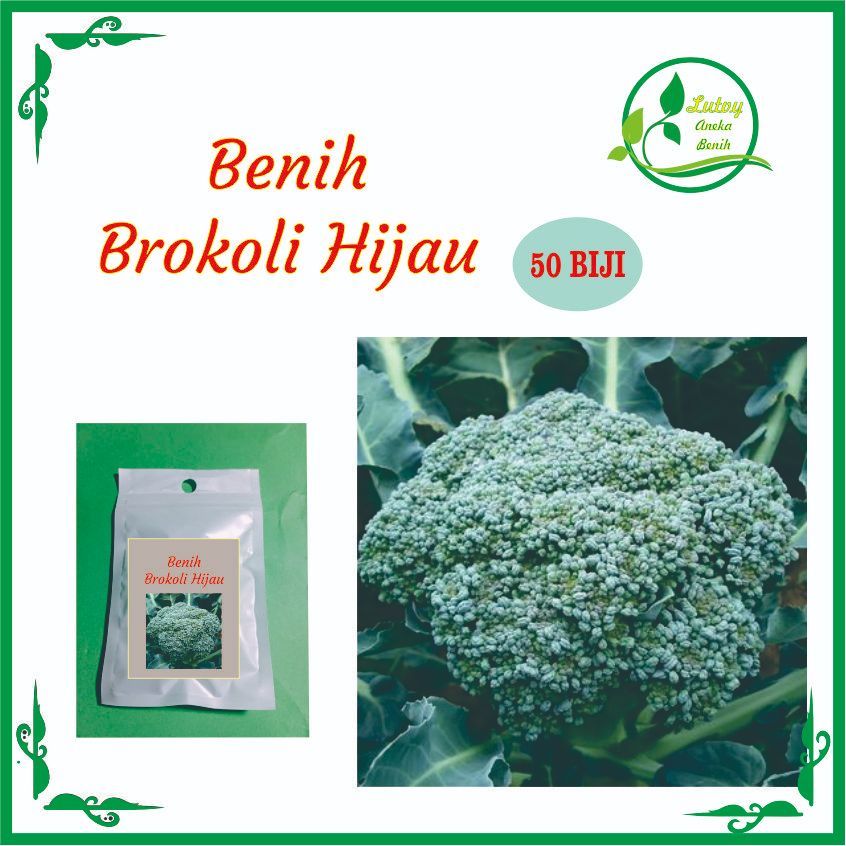 BENIH BROKOLI HIJAU ISI 50 BIJI