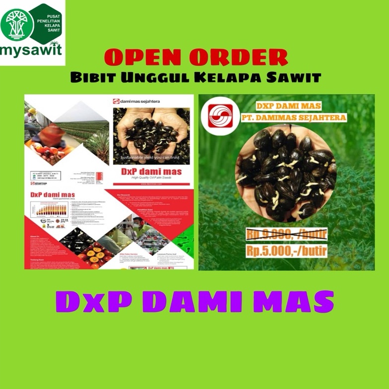 KODE G54Q SAWIT BIBIT DxP DAMI MAS  PT DAMI MAS SEJAHTERA