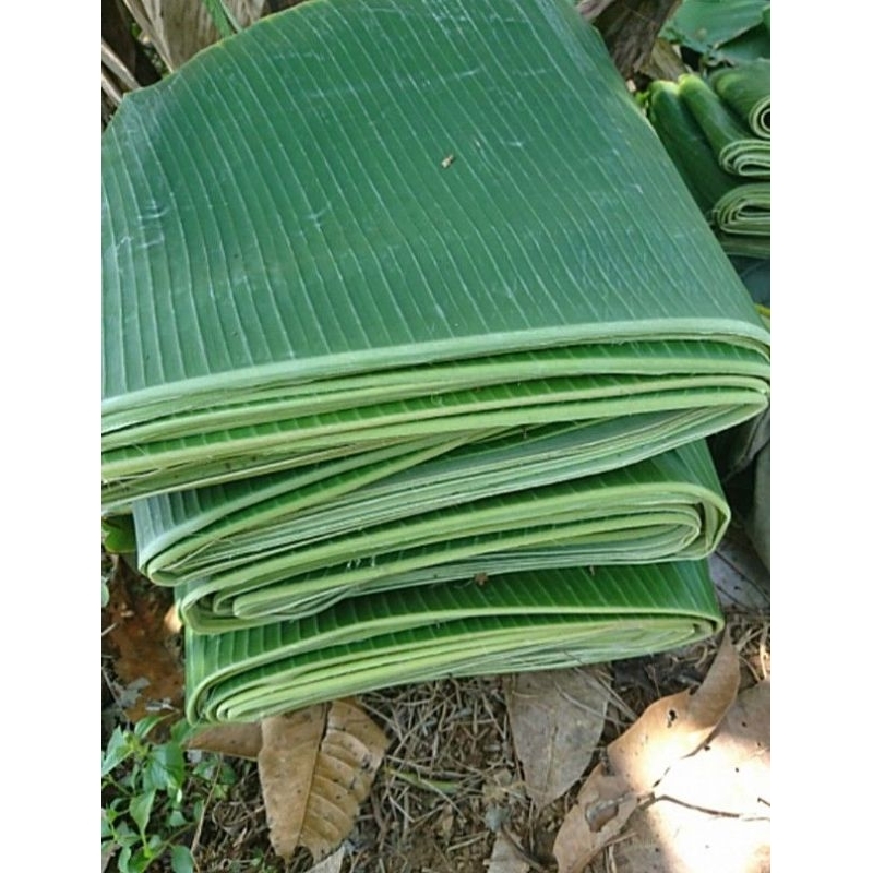 

Daun Pisang Kepok / Daun Pisang Raja / Daun Pisang Batu 500 gr