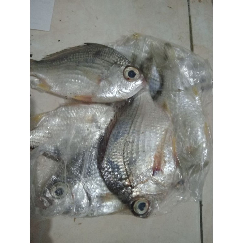 

Ikan anyi anyi 500g