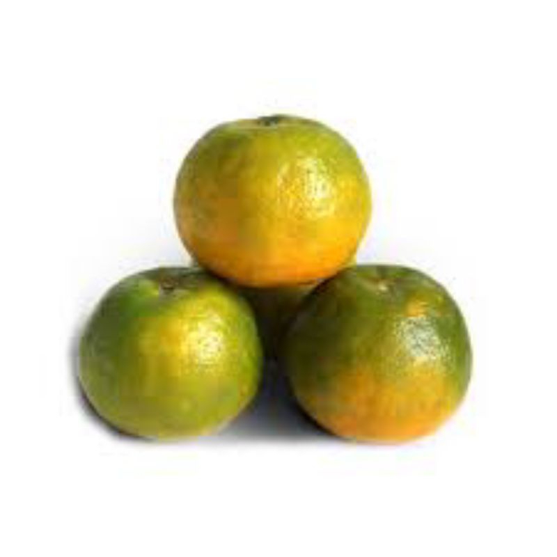 

JERUK GARUT MANIS 1KG