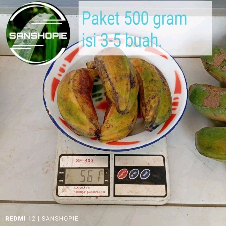 

Buah pisang batu atau kulutuk Matang 500 gram