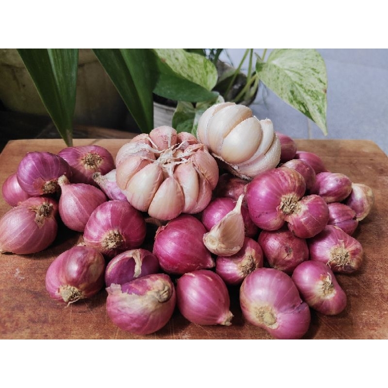 

paket bawang merah super dan bawang putih sinco