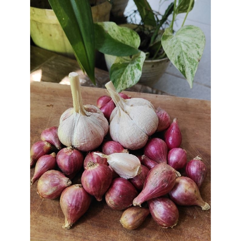 

paket bawang merah tanggung dan bawang putih kating