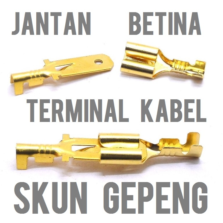 SKUN TERMINAL GEPENG CEWEK BETINA kuningan female betina scun klem kabel soket socket motor  batman 