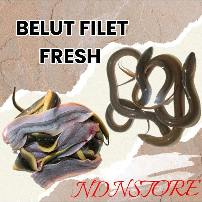 

ikan belut filet 100gr tanpa tulang daging belut filet 100gr
