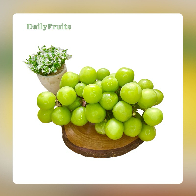 

Anggur Hijau Seedless Import Aussie | DailyFruits