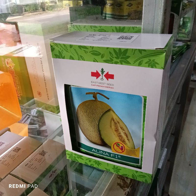 Benih Bibit Melon Madu Alina F1 Tipe Tahan Virus (Net Kulit Buah Tebal, Tahan Simpan dan disukai Pas