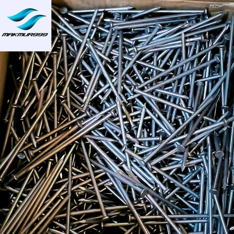 paku kayu 12cm per 1kg