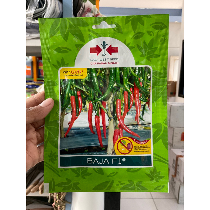 BIBIT CABAI BESAR PANAH MERAH BAJA F1 125 butir