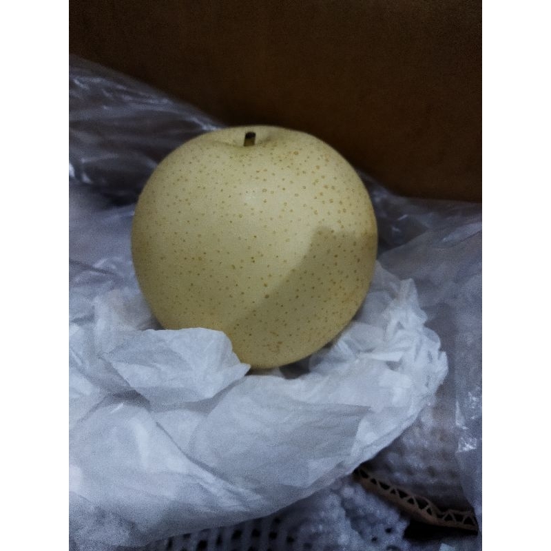 

buah pear pir per segar 1kg