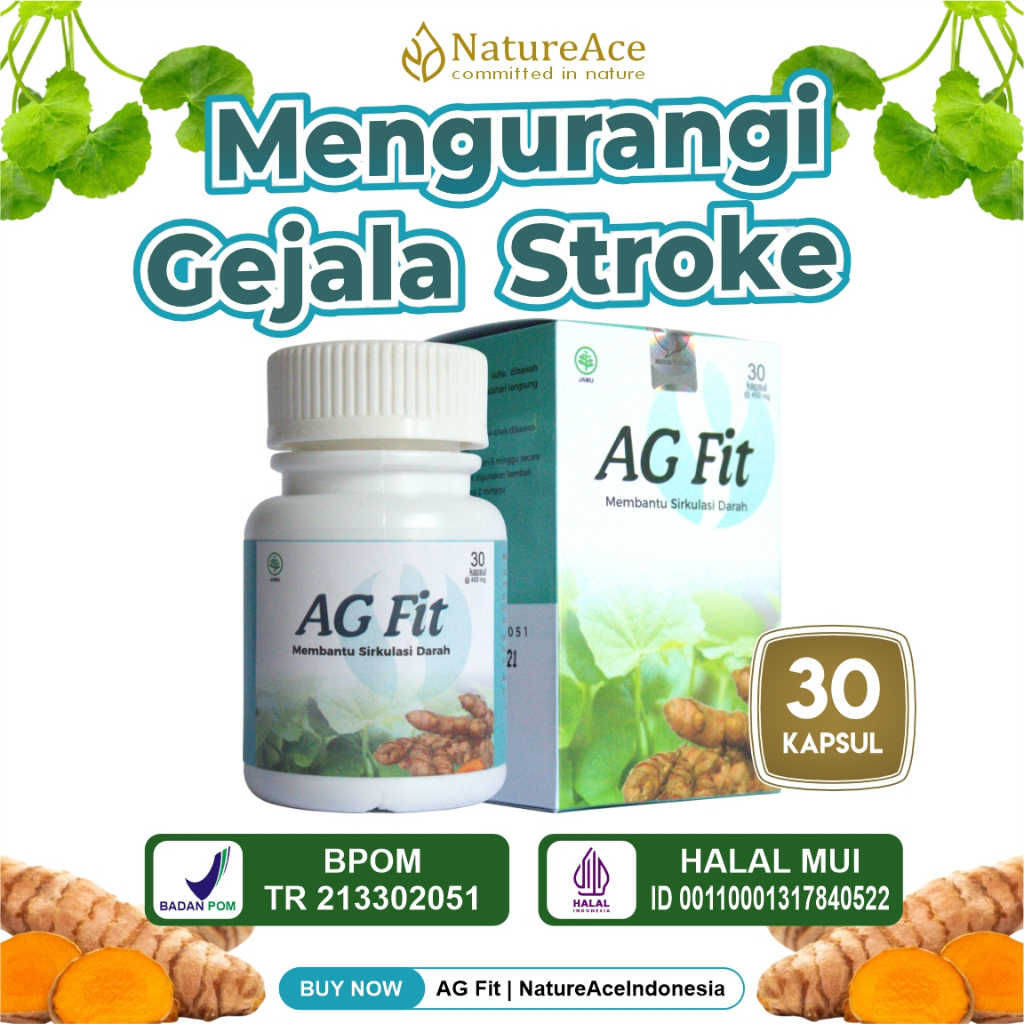 Obat Stroke Struk Strok Pengencer Darah Atasi Kesemutan Kebas Tangan Dan Kaki AG Fit 30 Kapsul
