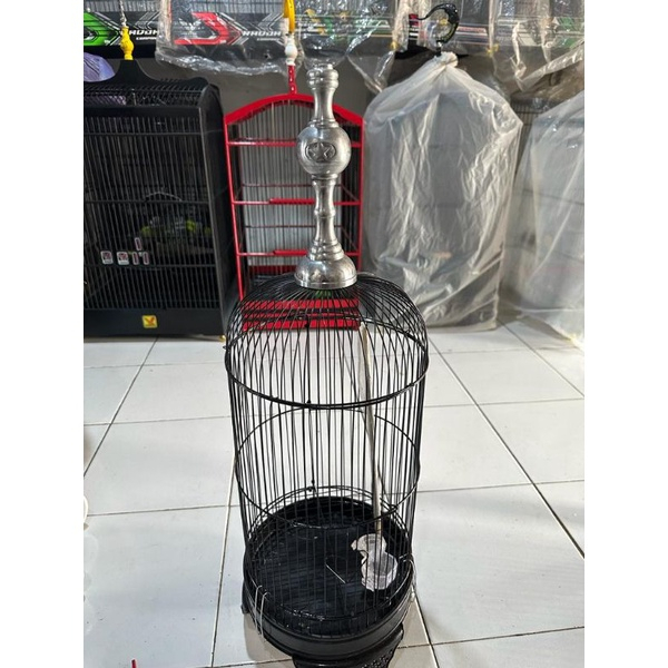 PION SANGKAR PLECI PANJANG PION PANJANG SANGKAR PLECI