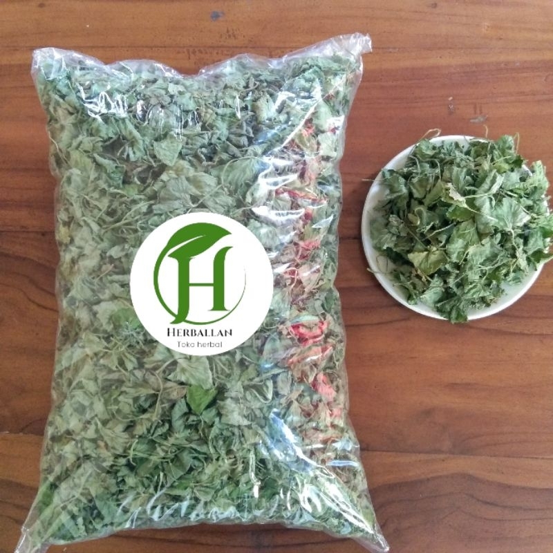 

Daun Pegagan / Antanan Kering Alami 100 gram tanpa akar dan batang