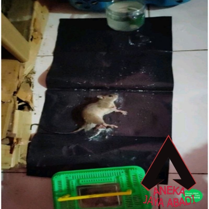 LEM TIKUS SUPER LENGKET PANJANG 60CM JEBAKAN PERANGKAP TIKUS AMPUH