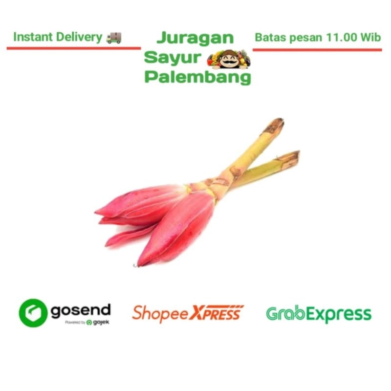 

Kecombrang - Juragan Sayur Palembang