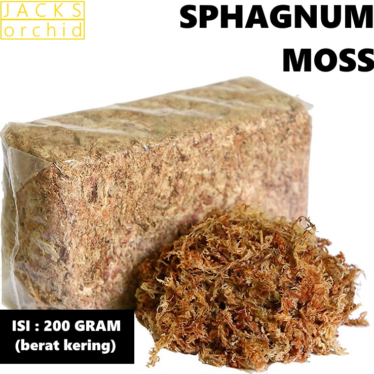 KI3 Spagnum Moss  Lumut Putih  Media Tanam Tanaman Hias Anggrek  Sphagnum Moss