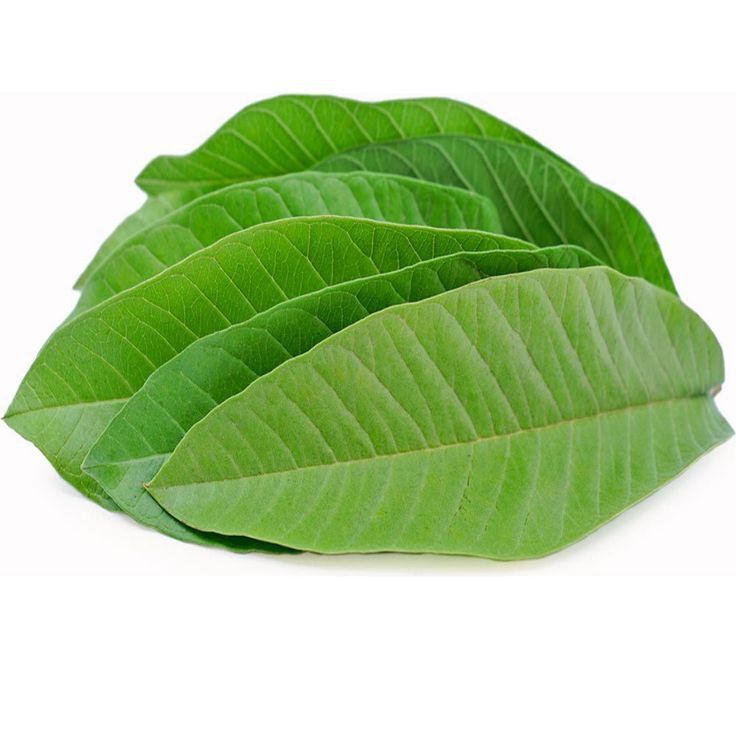

Daun Jambu Biji Fresh 500Gram