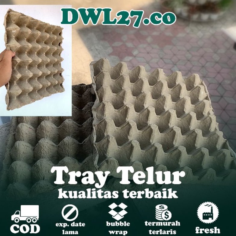 KODE J79R 1 IKAT 1 LEMBAR EGG TRAY  BARU   TRAY TELUR  TEMPAT TELUR AYAM  TRAY TELUR AYAM  BEBEK BAR