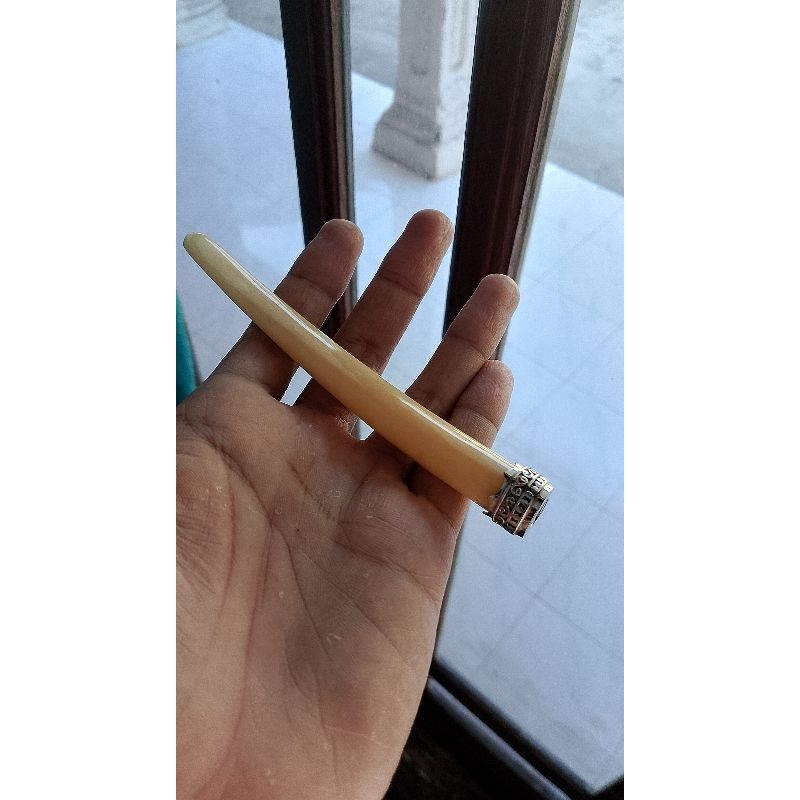 once tulsap alpaka panjang 12cm full daging mirip Gg.